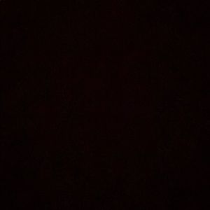 Meet your Posher, Isabel